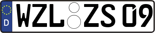 WZL-ZS09