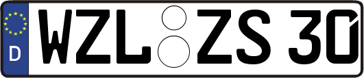 WZL-ZS30