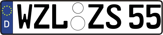 WZL-ZS55