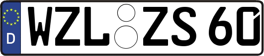 WZL-ZS60