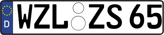 WZL-ZS65