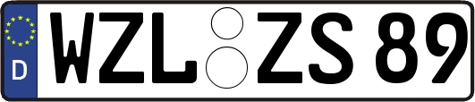 WZL-ZS89