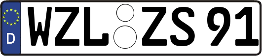 WZL-ZS91