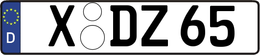 X-DZ65