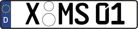 X-MS01