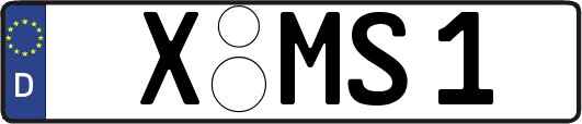 X-MS1