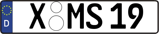 X-MS19