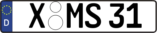X-MS31