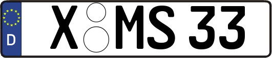 X-MS33