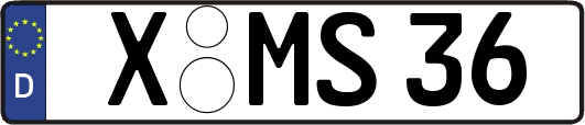 X-MS36