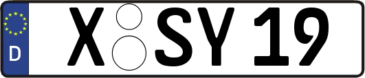 X-SY19