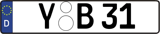 Y-B31