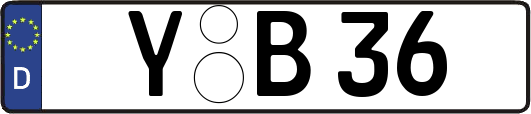 Y-B36
