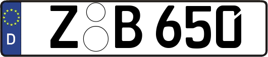 Z-B650