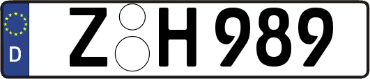 Z-H989