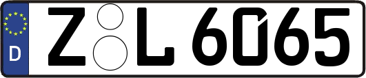 Z-L6065