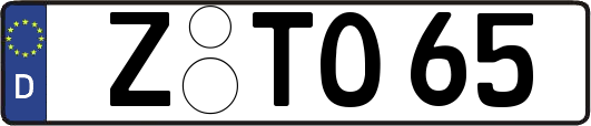 Z-TO65