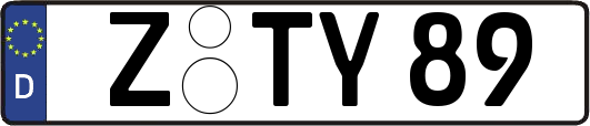 Z-TY89
