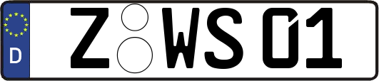 Z-WS01