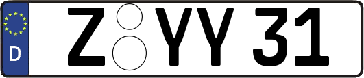 Z-YY31