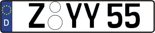 Z-YY55