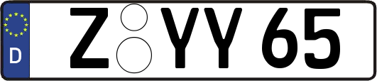 Z-YY65