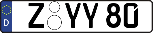Z-YY80