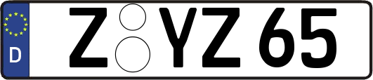 Z-YZ65
