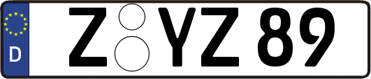 Z-YZ89