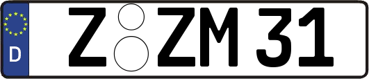 Z-ZM31
