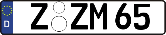 Z-ZM65