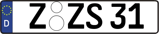 Z-ZS31