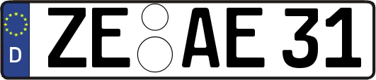 ZE-AE31