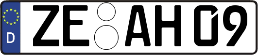 ZE-AH09