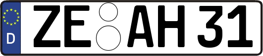 ZE-AH31