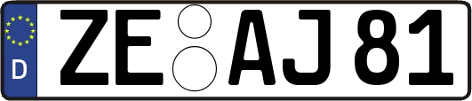 ZE-AJ81