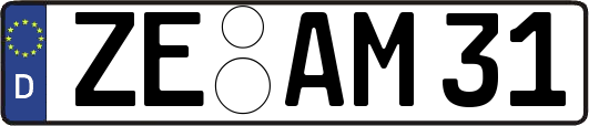 ZE-AM31