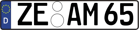 ZE-AM65
