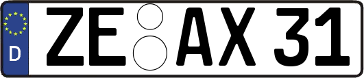 ZE-AX31
