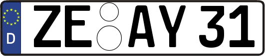 ZE-AY31