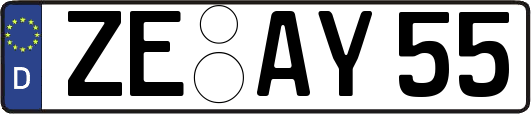 ZE-AY55