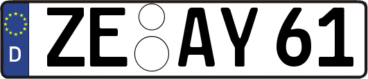 ZE-AY61