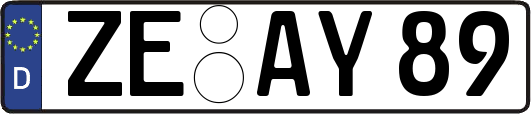 ZE-AY89