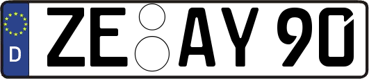 ZE-AY90