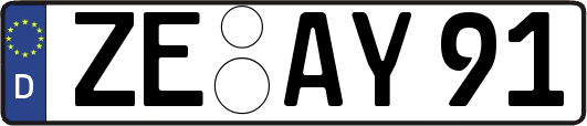 ZE-AY91