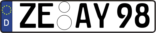 ZE-AY98