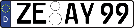 ZE-AY99