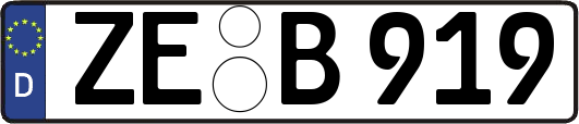 ZE-B919