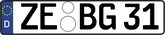 ZE-BG31