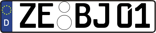 ZE-BJ01